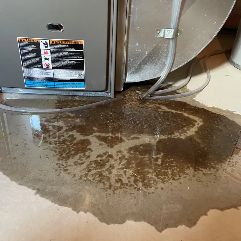 Appliance Leak Cleanup in Fordyce, AR